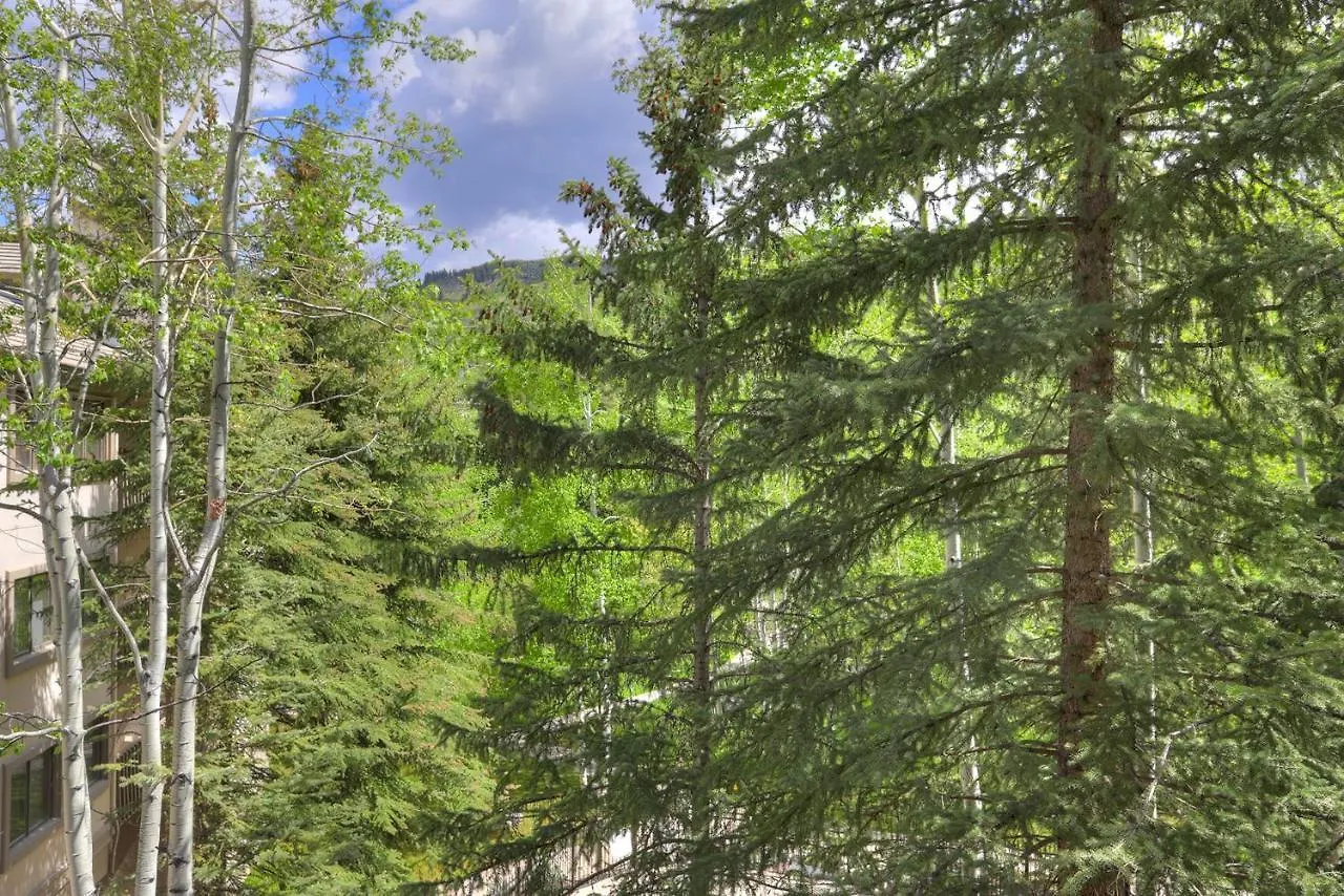 Apartment Newly Remodeled Spacious 1 Bedroom *