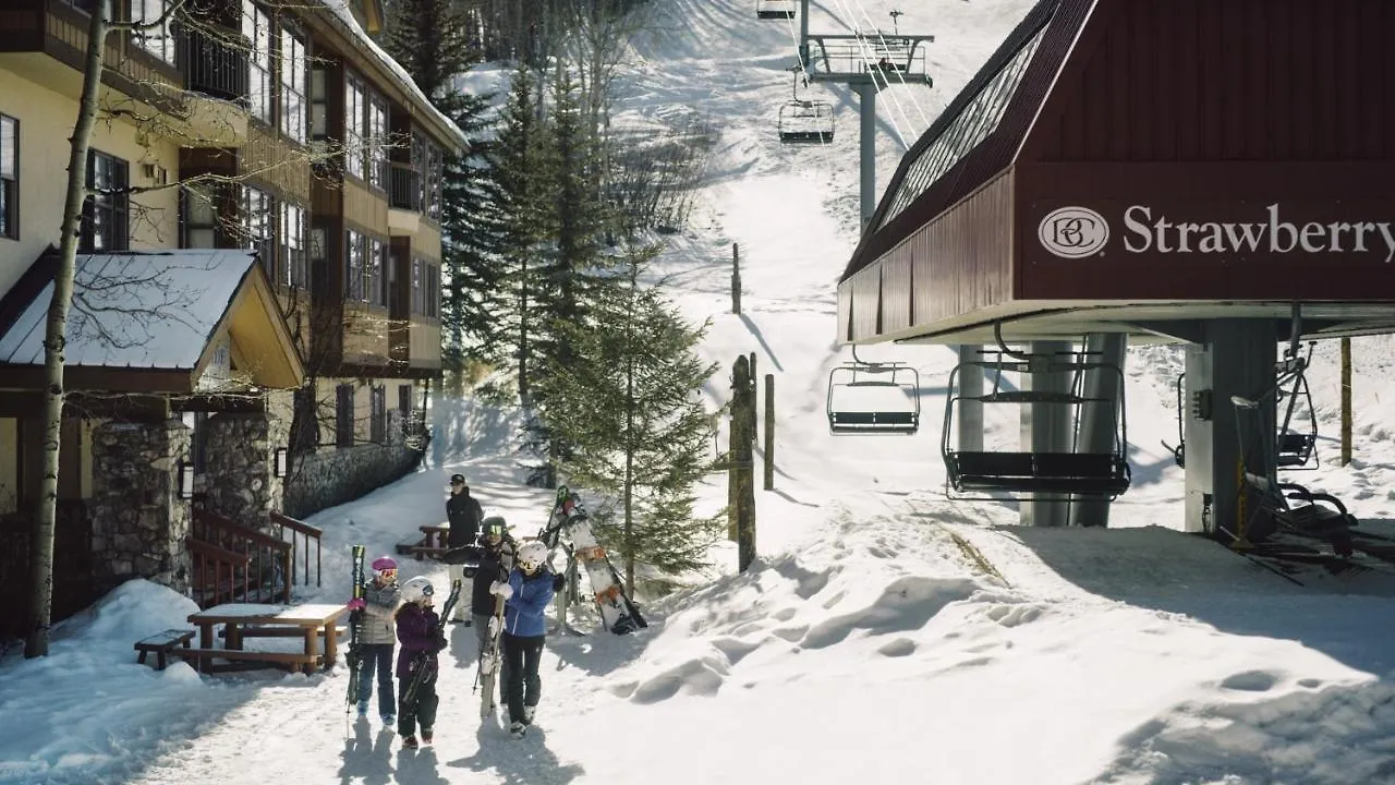 Newly Remodeled Spacious 1 Bedroom Apartment Beaver Creek