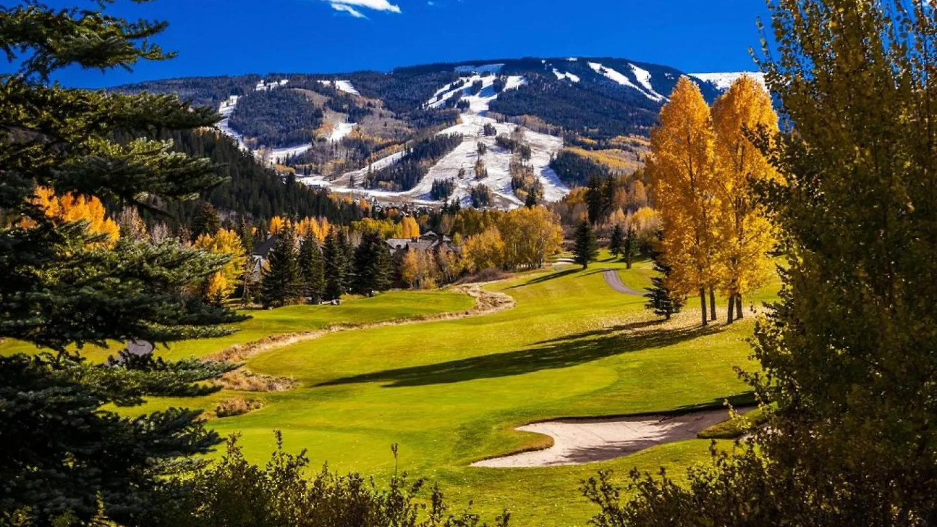 421 Holiday home Beaver Creek