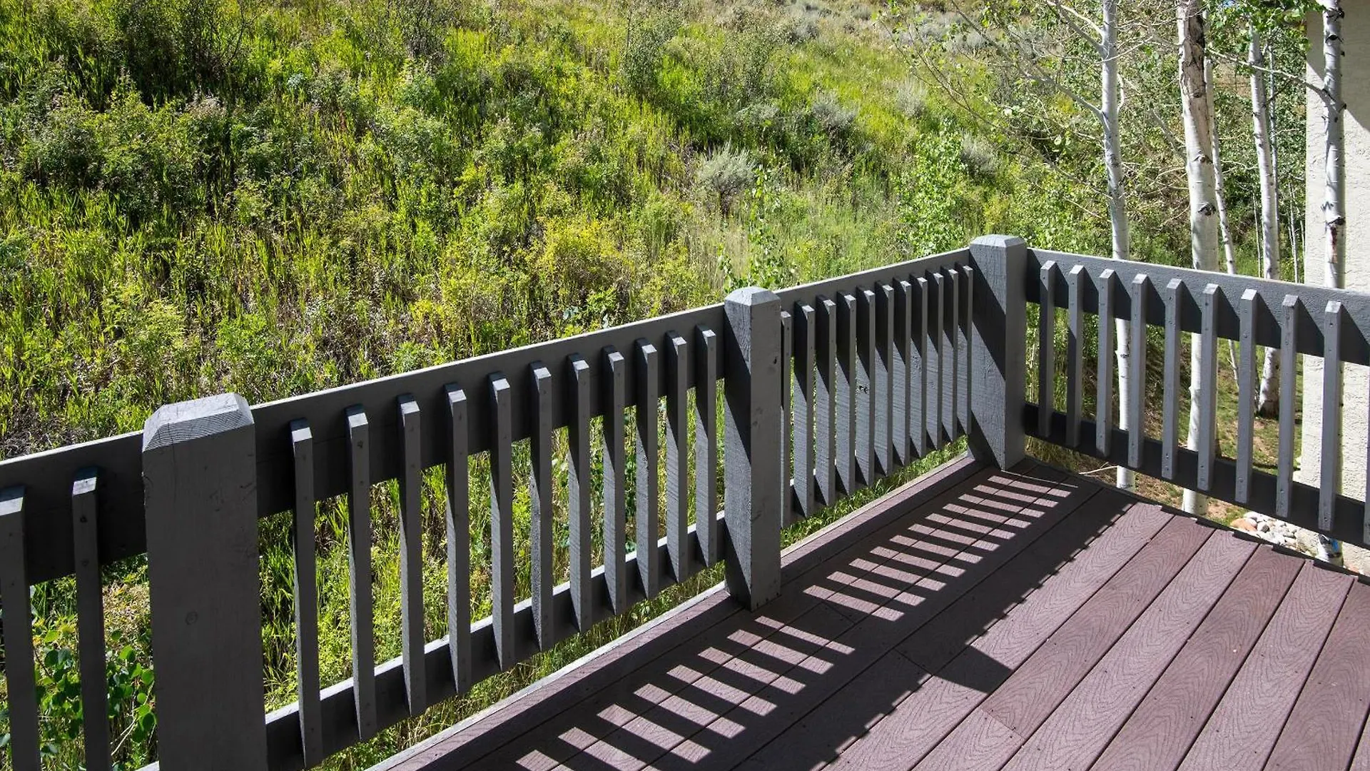Ridgepoint #154 -