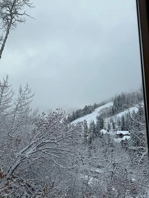 5 Bed With Loft 6ba In And Out Amazing Views