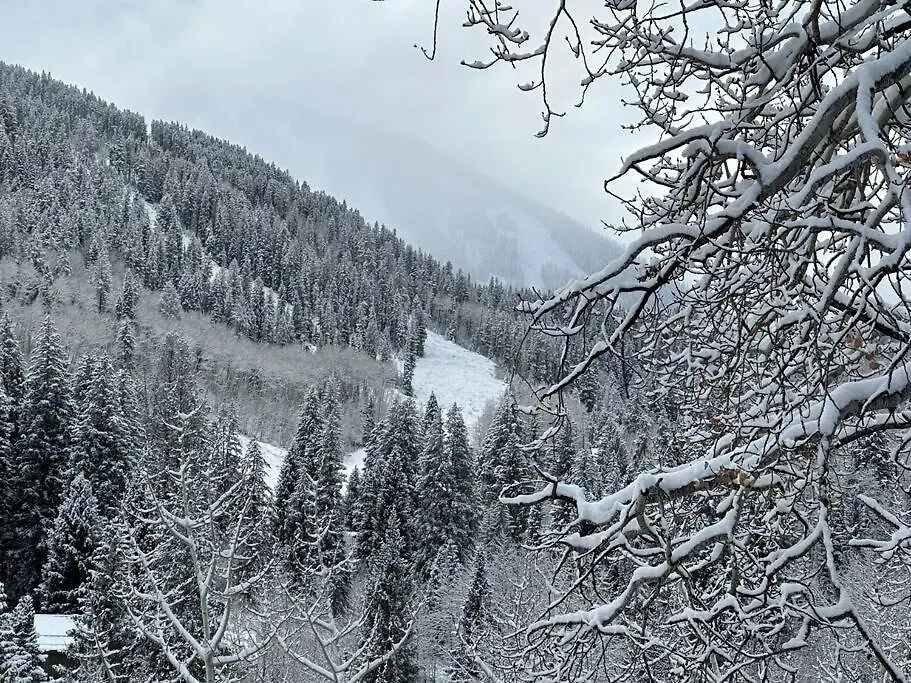 Holiday home 5 Bed With Loft 6ba In And Out Amazing Views Beaver Creek