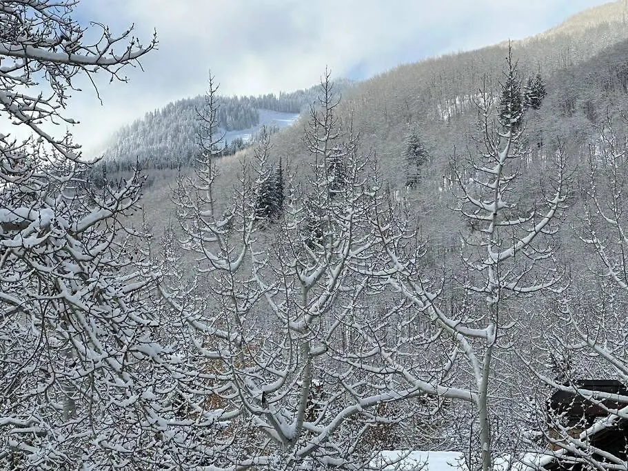 5 Bed With Loft 6ba In And Out Amazing Views * Beaver Creek