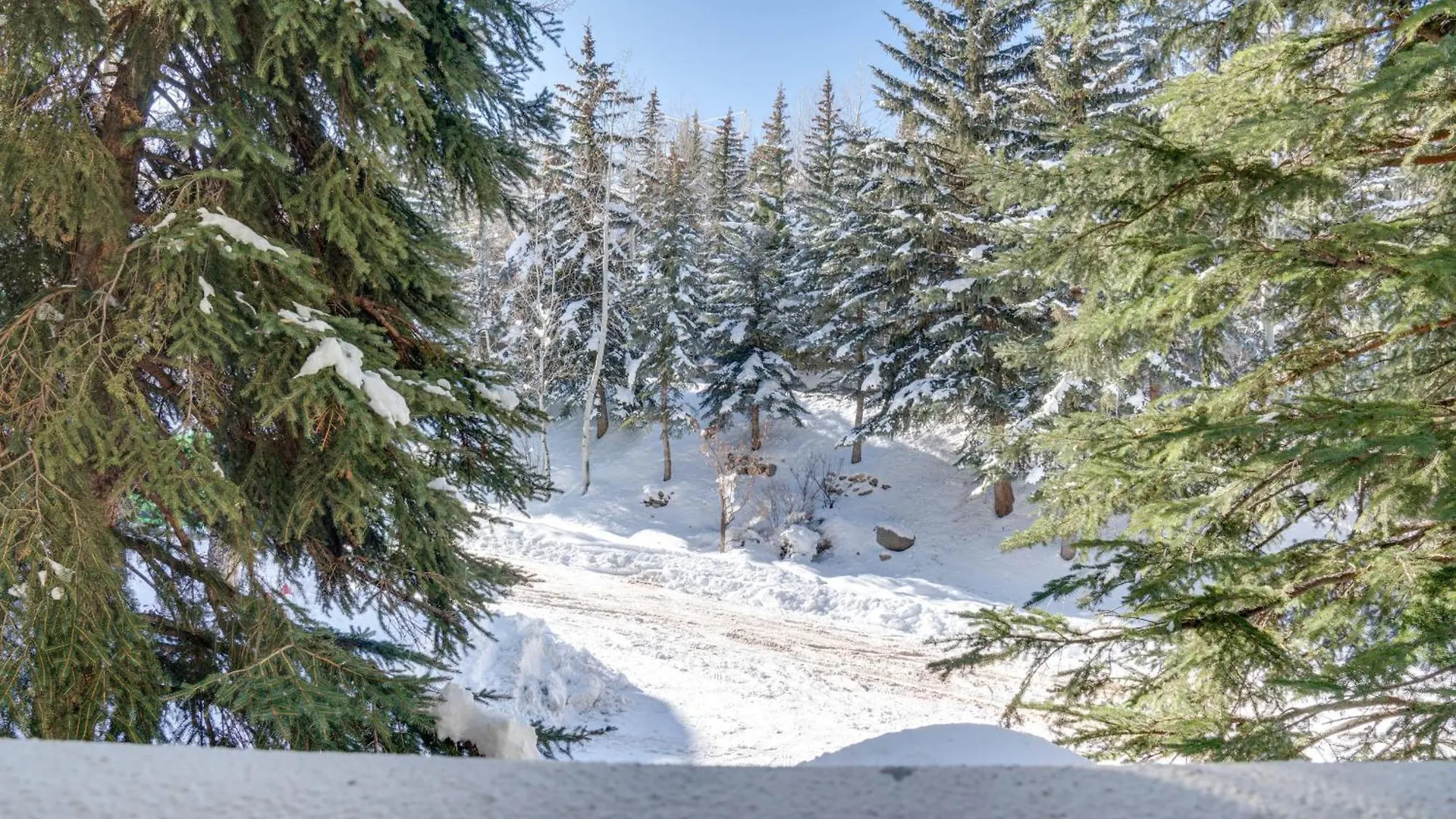 Ski-inandski-out Near Trails