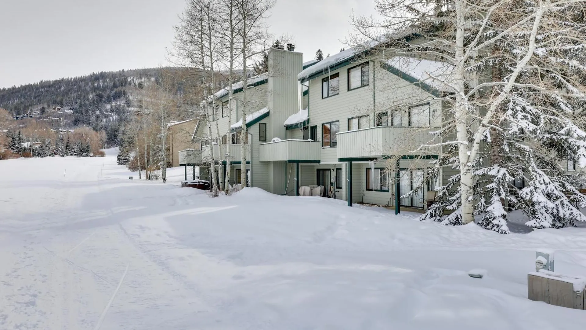 Eclectic Eagle-vail 2 Miles To * Beaver Creek
