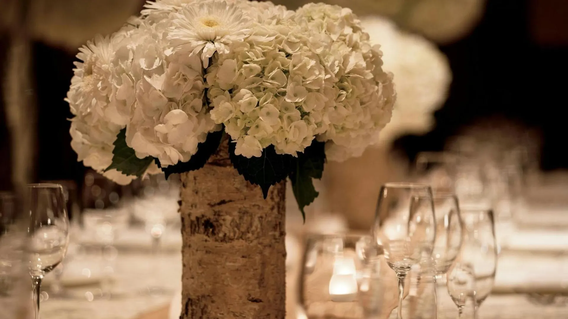 The Ritz-carlton, Bachelor Gulch Resort